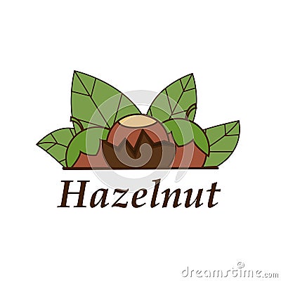 Vector hazelnut logo in cartoon style. Vector Illustration